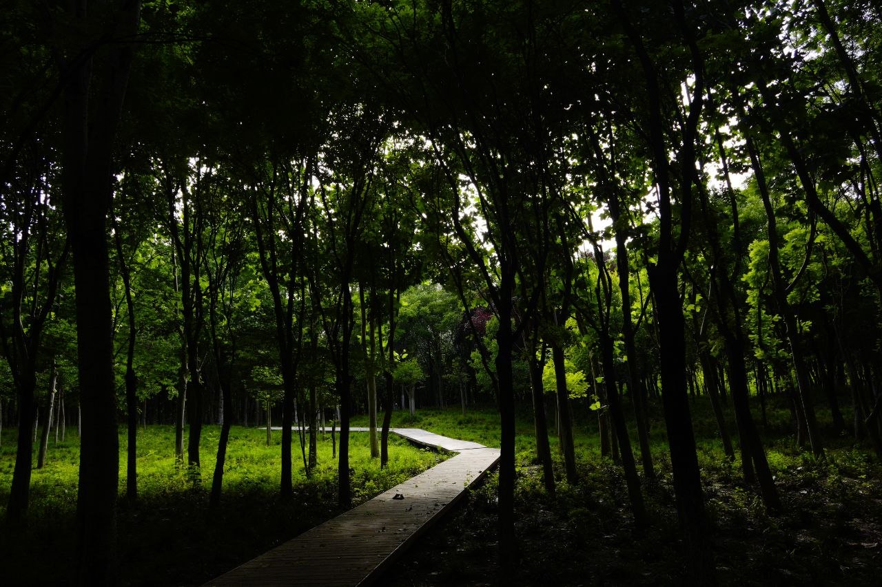 沿着光的路径